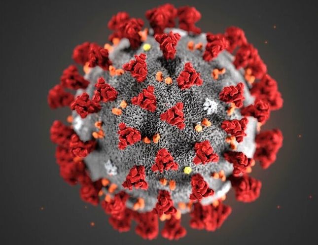 covid-19 virus