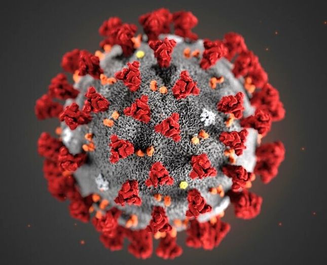 Covid-19 Virus