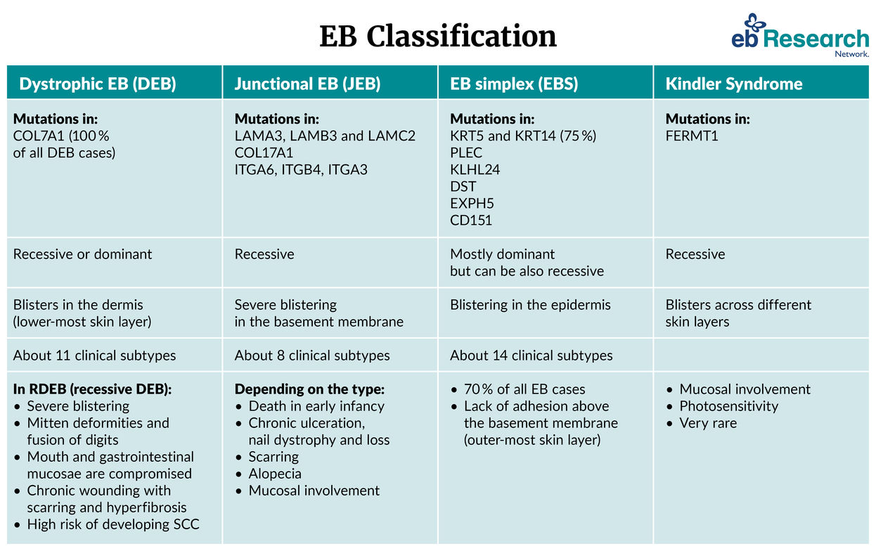 Tabel explaining classifications of EB