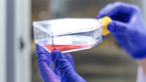 Sample bottle with red liquid, held by two gloved hands